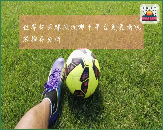 世界杯买球投注哪个平台更靠谱玩家推荐分析