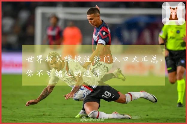 世界杯买球投注热门入口大汇总，你不可错过的选择