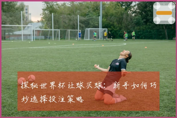 探秘世界杯让球买球：新手如何巧妙选择投注策略