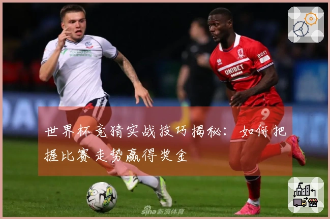 世界杯竞猜实战技巧揭秘：如何把握比赛走势赢得奖金