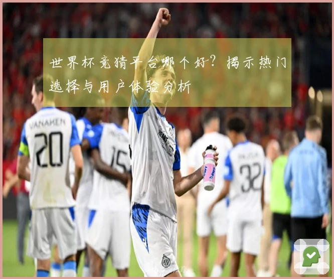 世界杯竞猜平台哪个好？揭示热门选择与用户体验分析