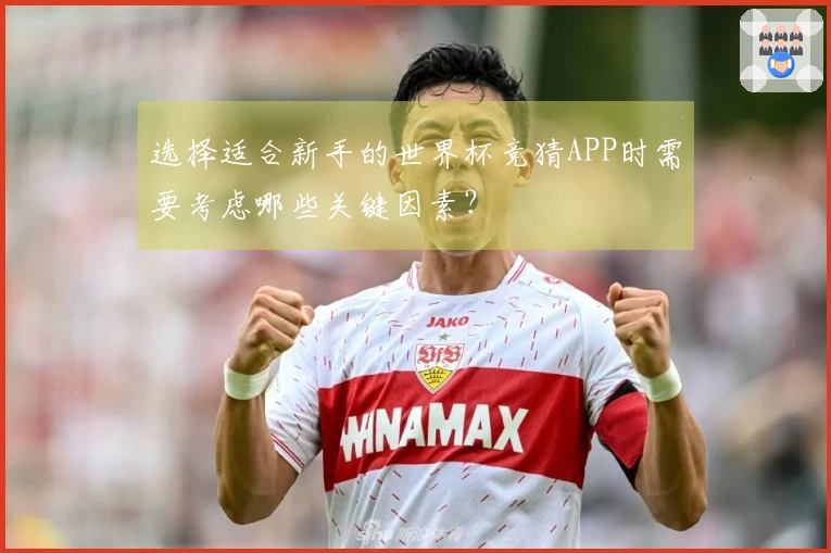 选择适合新手的世界杯竞猜APP时需要考虑哪些关键因素？